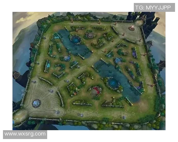 深入分析王者荣耀WE战队在比赛中的控制策略与战术运用