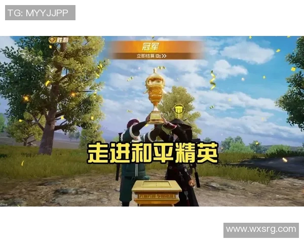 专访李敏揭秘和平精英成功背后的策略与创新之路实时数据