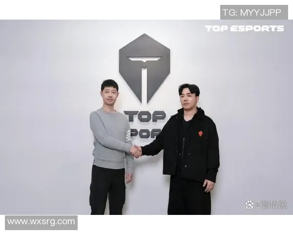 esports数据挑战者杯中TES团队协作表现分析与评价探讨